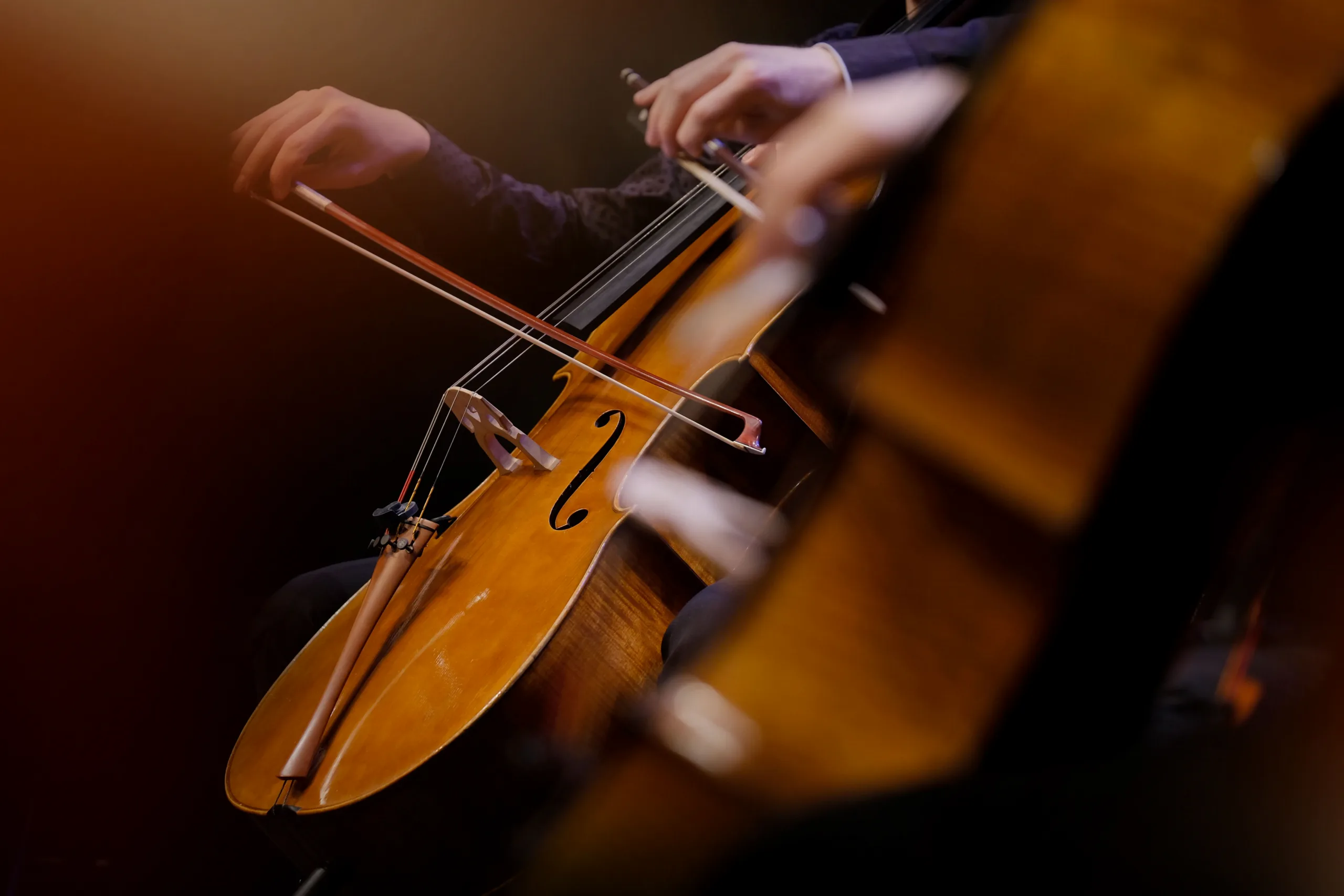 page banner image