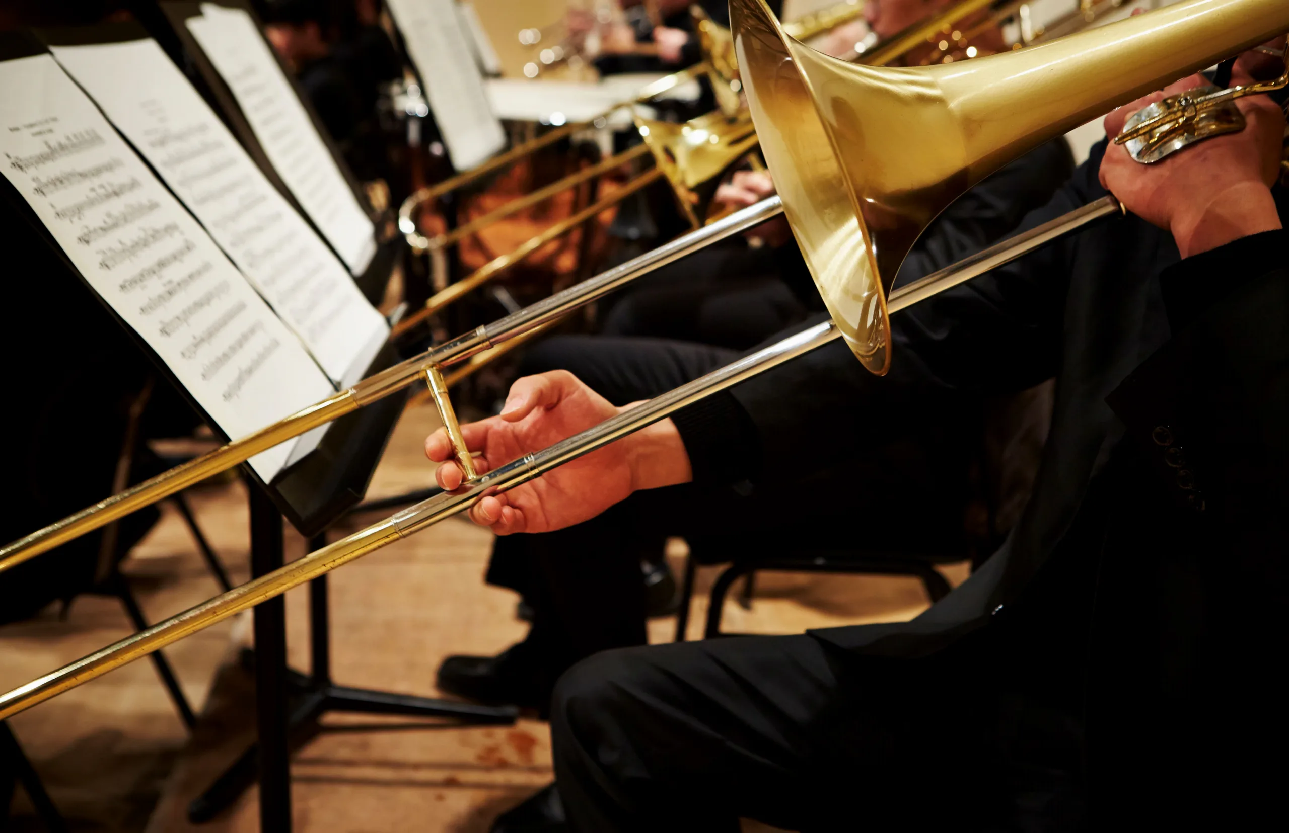 page banner image