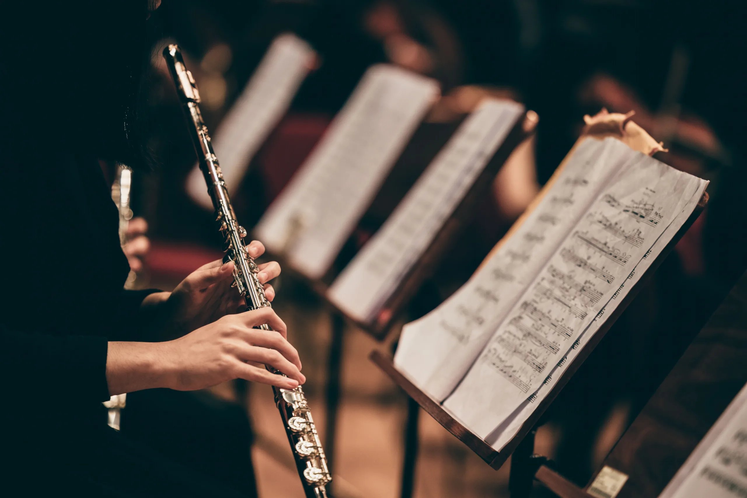 page banner image